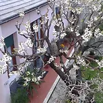 Casa Tra Il E Il Blu *