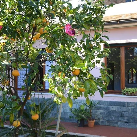 Casa Tra Il E Il Blu جنوة